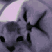 catCurious