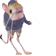 DoobyDance