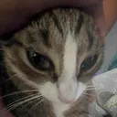 mike_brainwashing