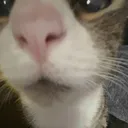 mike_woah mike_woah