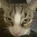 mike_what