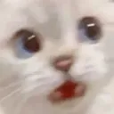 gurlwat gurlwat
