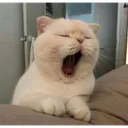 tired