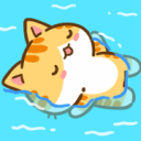 cat_swim