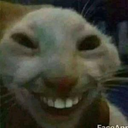 arab100 Discord sticker - #- thunder server  15k ?