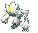 bed_Z263_Zeraora_Shiny