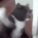 ATTACK