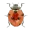 ladybuggy