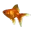 goldfishy