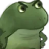 dds0_frog1