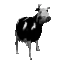 cowJAM