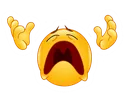nowhy nowhy