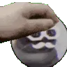 seanpet