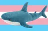 trans_rights