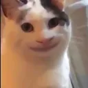 bruh