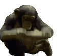 MODS animated Discord emote from Realm Explorer | Find & Promote