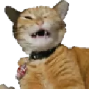 Crypt_Cringe