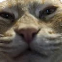 Crypt_Sus