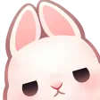 BunnyStare