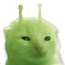 glorp