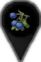 pinIconBerries