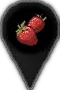 pinIconFruits