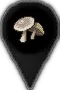 pinIconMushrooms