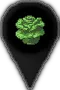 pinIconVegetables