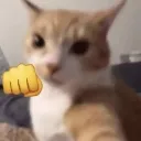 violence