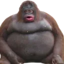 4_uhoh