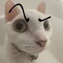 hrrm hrrm