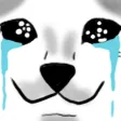 jawwegPPcatsad