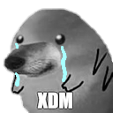 xdsad