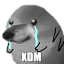 :xdsad: