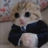 business