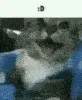 yay