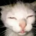 eepy