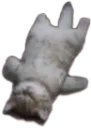 catdead