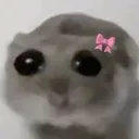 bbg