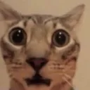 huh3