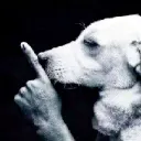 Shhh