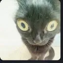 emoji_19 emoji_19