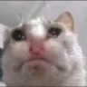 sad
