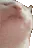 CatPunk