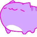 cat_nod