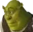 ShrekOopsies ShrekOopsies