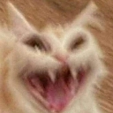 BH_funny custom emote | #- thunder server  15k ?