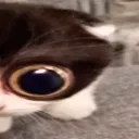 MONKA2