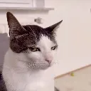 emoji_8