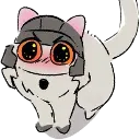 cat_d16